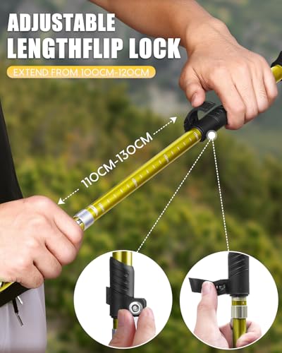 Hiking Poles 7075 Aluminum Tri (2 Count)