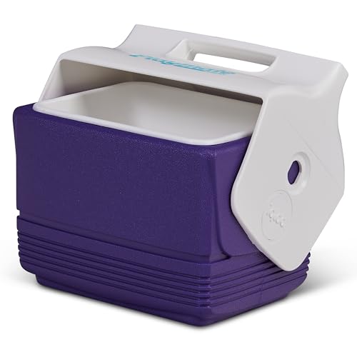 4 Qt Playmate Mini Hardsided Lunch Box Cooler