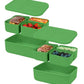 Platinum Silicone Bento Lunch Box Set of 2 (2 Count)