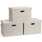Large Quart Collapsible Stackable Storage Bins with Lids (3 Count)