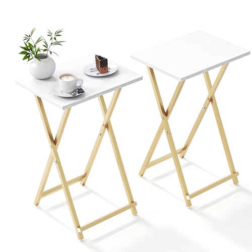 Foldable TV Trays (2 Count)
