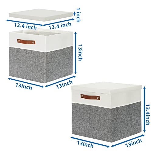 Cube Storage Bins with Lids for Organizing Clothes (2 Count)
