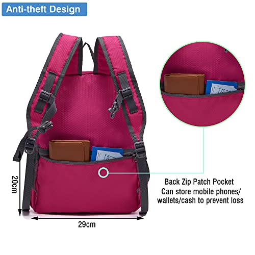 Hiking Backpack 20L Packable Packable Lightweight Day Pack for Women & Men