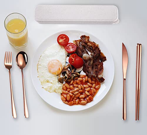 6 Pieces 18 8 Stainless Steel Flatware Set Portable Reusable Cutlery Set Travel Utensils Set Including Chopsticks Knife Fork Spoon Straws Cleaning Brush Dishwasher Safe