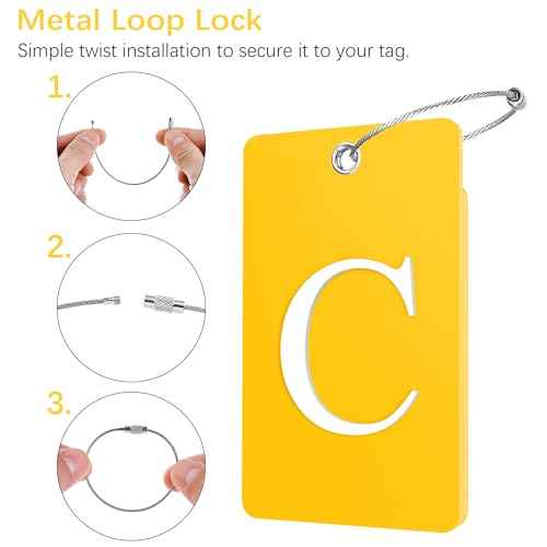 2 Pack Initial Luggage Tags for Suitcases Airplane Travel Essentials (2 Count)