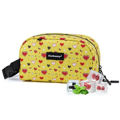 Small Cooler Bag