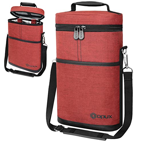 2 Bottle Wine Carrier Tote