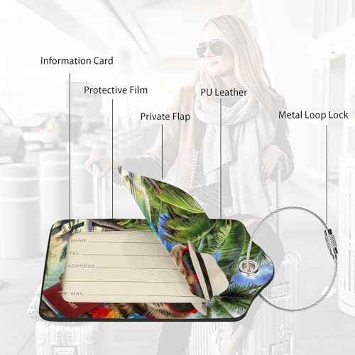 2 Pack Luggage Tags for suitcases Funny Cat TSA Approved Label Luggage Tag Baggage Tag Leather Stainless Steel Loop Label Tag for Men Women Travel Bag Suitcase (2 Count)