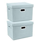 Collapsible Storage Bins With Lids (2 Count)