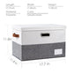 Foldable Storage Bins with Lids [3 (3 Count)