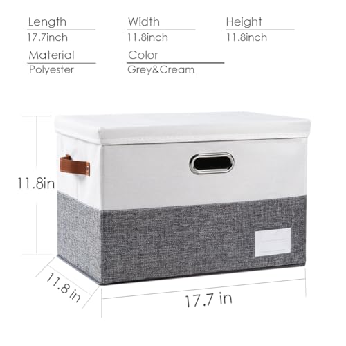 Foldable Storage Bins with Lids [3 (3 Count)