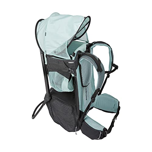 Sapling Child Carrier Backpack