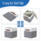 Foldable Fabric Storage Bins with Lids (2 Count)