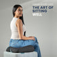 Office Chair Cushion for Back & Tailbone