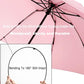 Umbrella Compact Inverted Folding Umbrellas Auto Open Auto Close
