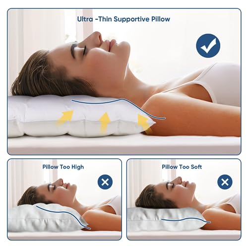 2 Packs Ultra Flat Pillows for Sleeping Thin (2 Count)