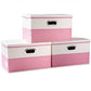 Large Collapsible Storage Bins with Lids [3 (3 Count)