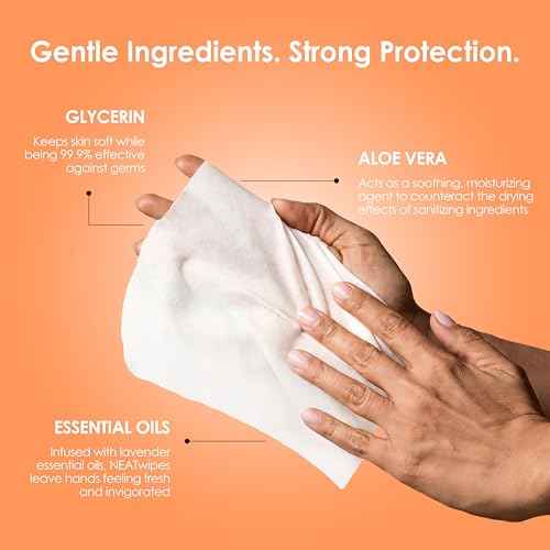 NEATwipes Sanitizing Wipes for Adults (24 Count)
