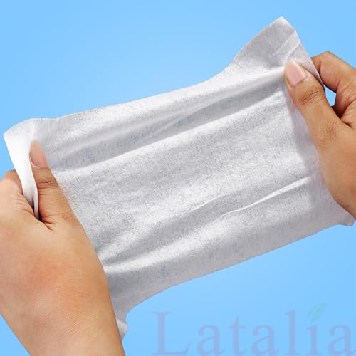 Hand Wipes Pack of 4 (80 Count)