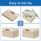 Foldable Storage Bins with Lids (2 Count)