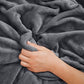 Travel Blanket and Pillow