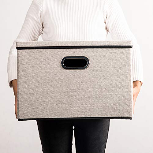 Large Foldable Storage Bin with Lid [1