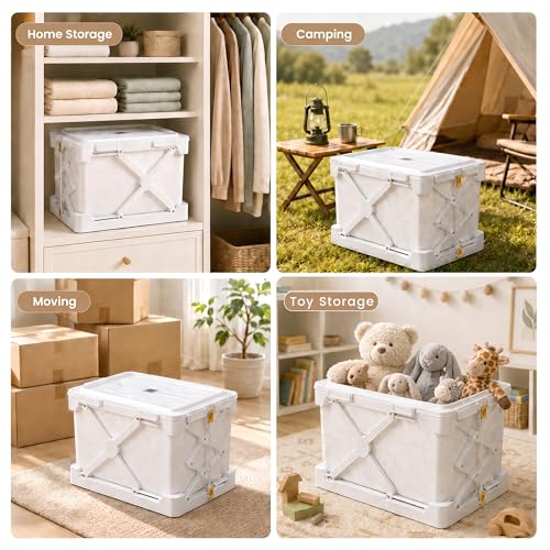 Foldable Vacuum Compression Storage Box (2 Count)