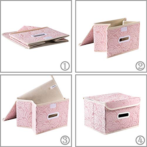 Foldable Storage Boxes with Lids [5 (5 Count)