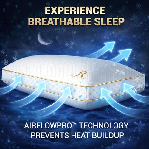 2 Pack Queen Memory Foam Pillow (2 Count)