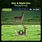 Night Vision Goggles