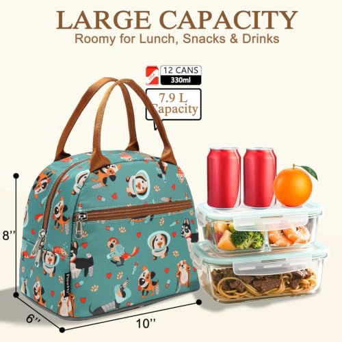 Insulated Lunch Cooler Bag