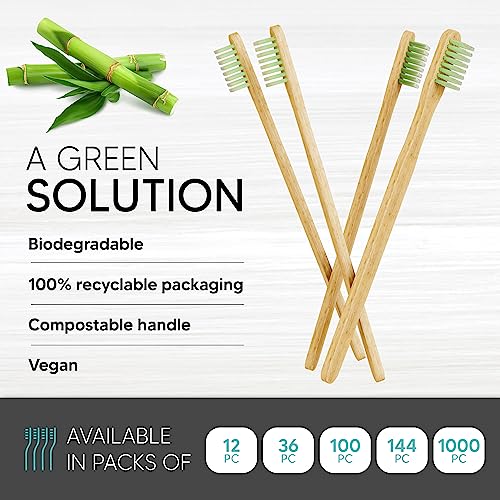 12 Pack Disposable Bamboo Toothbrushes with Toothpaste