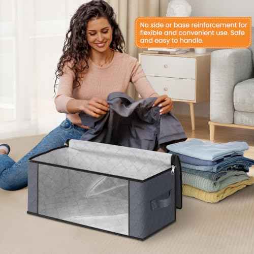 35L Closet Organizers (4 Count)