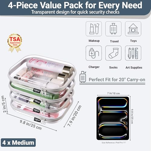 Clear Hard Shell Zipper Cases (4 Count)