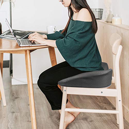 Seat Cushion Pillow