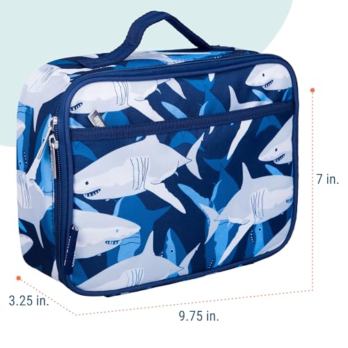 Kids Insulated Lunch Box