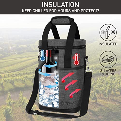 Insulated Wine Cooler Bag