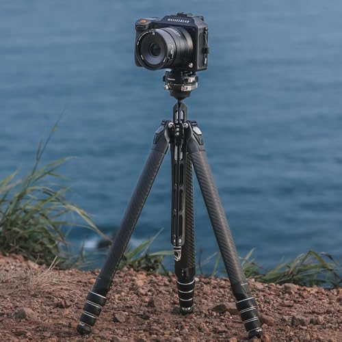 Falcam TreeRoot F38 Pro Quick Lock Carbon Fiber Tripod with 360° Ball Head