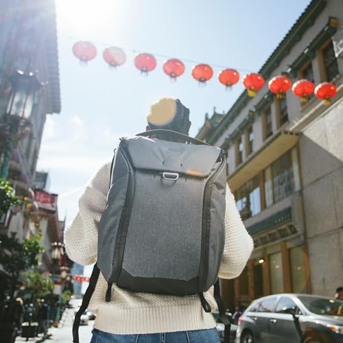 Everyday Backpack 20L