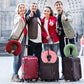 Pure Memory Foam Travel Pillow Set for Adults