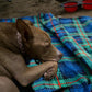Large Waterproof Outdoor Blanket Thick Fleece 80" x 58"