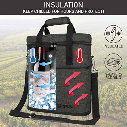 3 Bottle Wine Carrier Tote