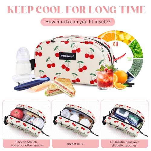 Small Cooler Bag