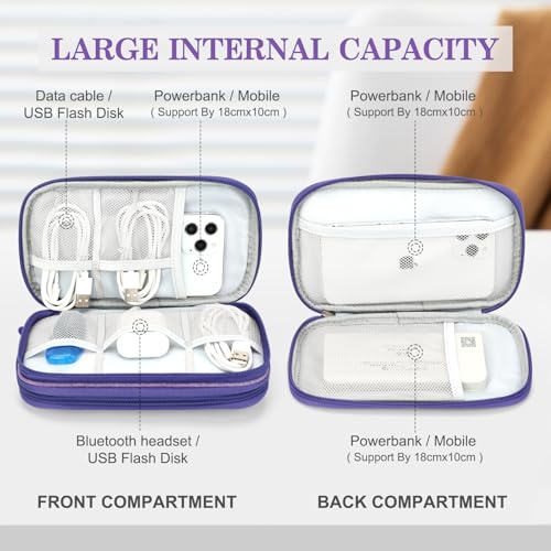 Electronic Organizer