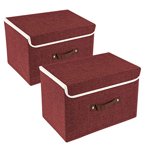 Collapsible Storage Boxes (2 Count)