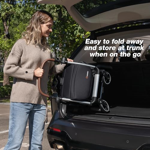 Lightweight Travel Stroller for Baby