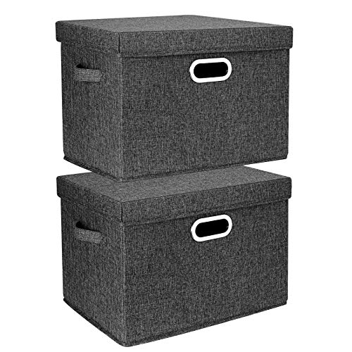 Large Storage Bins with Lids (2 Count)