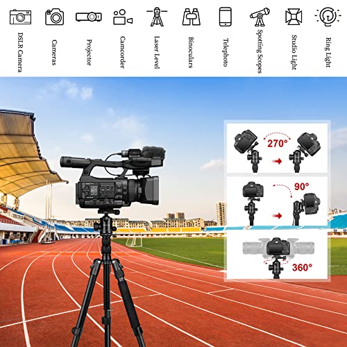 Tripod for Camera