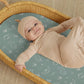 Stretch Fitted Bassinet Sheet Set BROLEX 2 Pack Cradle Sheets for Bassinet Pad (2 Count)