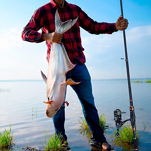 Fishing Rod and Reel Combos